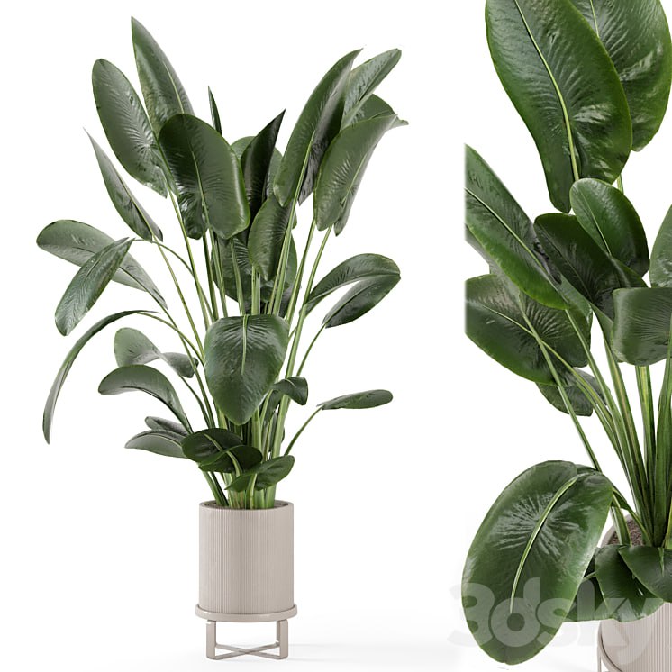 Indoor Plants in Ferm Living Bau Pot Large – Set 765